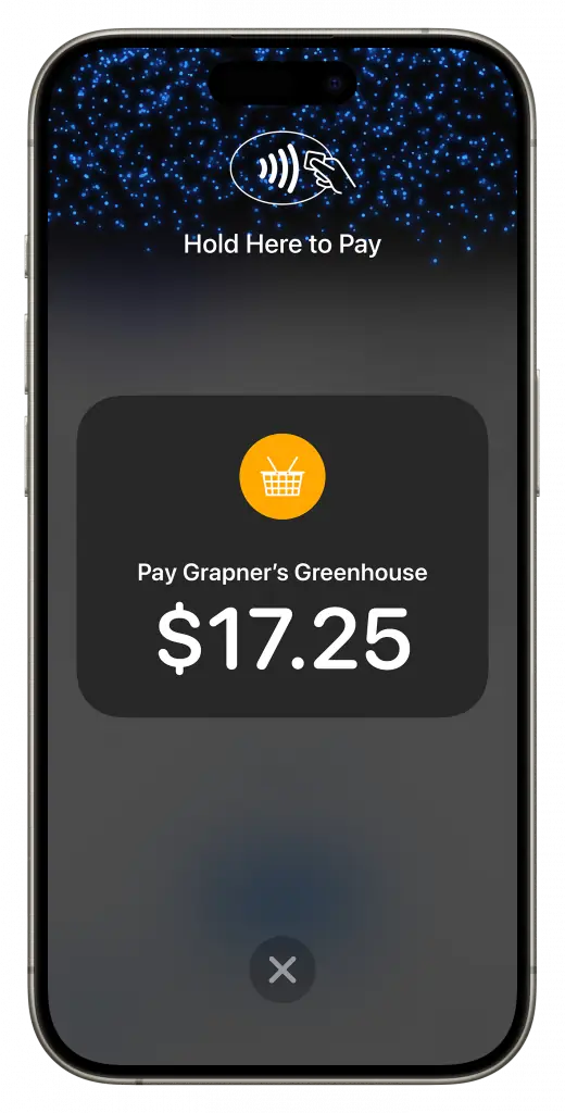 With Tap to Pay on your iPhone you can accept various contactless payments.