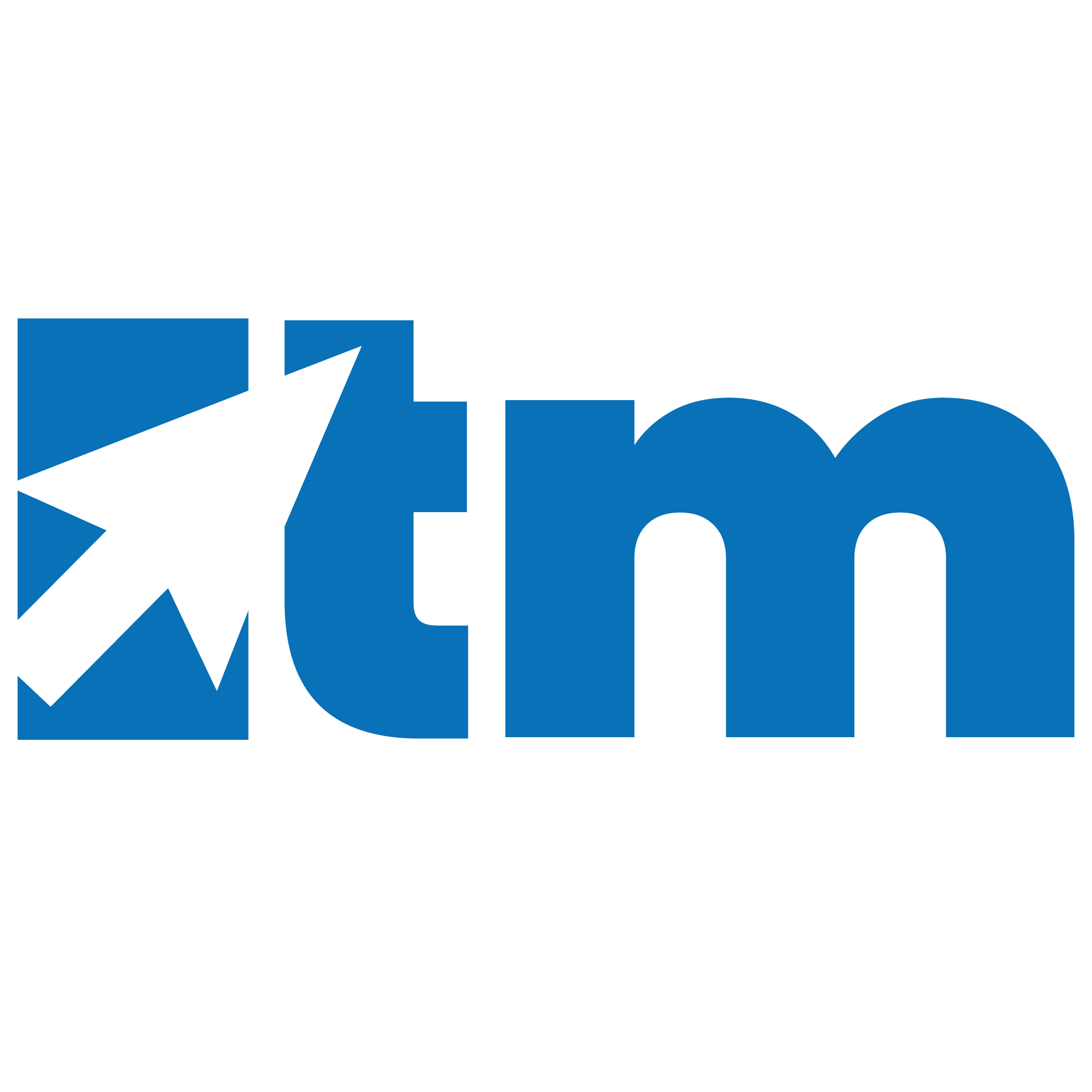 Travlelmanager Logo short